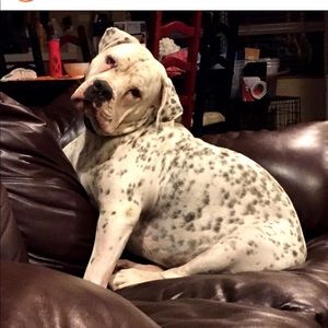 Meet your Posher, Stacy